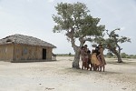  أفلام دعمتها مؤسسة الدوحة للأفلام تعرض  في مهرجان روتردام السينمائي الدولي الـ 45