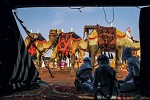 بالتعاون مع شركة 