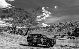 المصور العالمي ديفيد يارو يلتقط صوراً برية فريدة بفضل لاند روڤر ديفندر الجديدة
