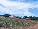 Korea aims to enhance cooperation with UAE in smart agriculture: Officials