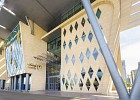 السعودية تقود العالم في الأوقاف البيئية