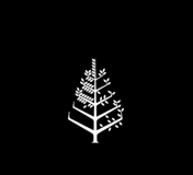 Four Seasons
